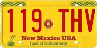 NM license plate 119THV