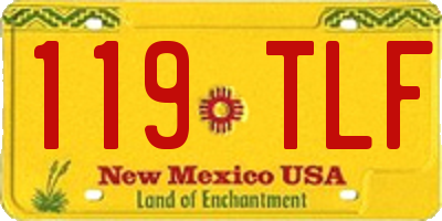 NM license plate 119TLF