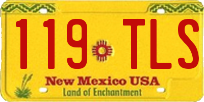 NM license plate 119TLS