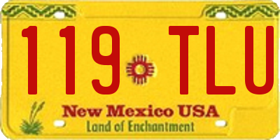 NM license plate 119TLU