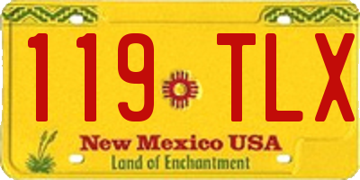 NM license plate 119TLX