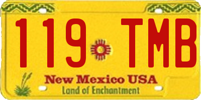 NM license plate 119TMB