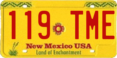 NM license plate 119TME