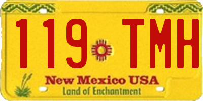 NM license plate 119TMH