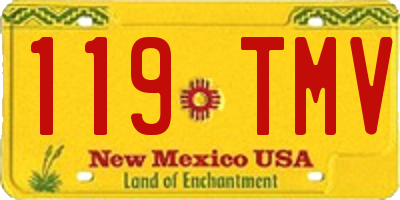NM license plate 119TMV