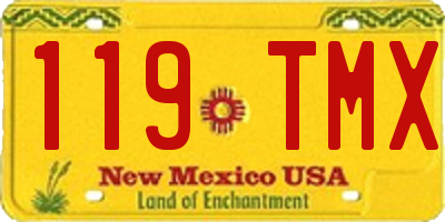 NM license plate 119TMX