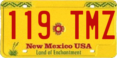 NM license plate 119TMZ