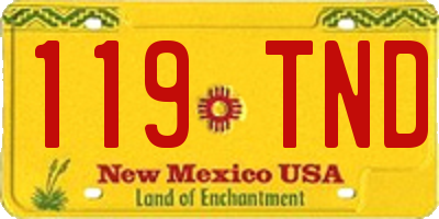 NM license plate 119TND
