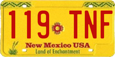 NM license plate 119TNF