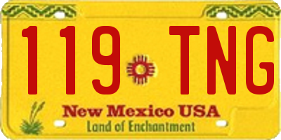 NM license plate 119TNG