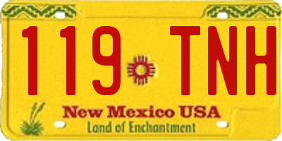 NM license plate 119TNH