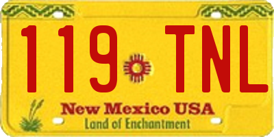 NM license plate 119TNL