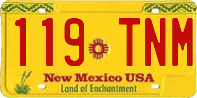 NM license plate 119TNM