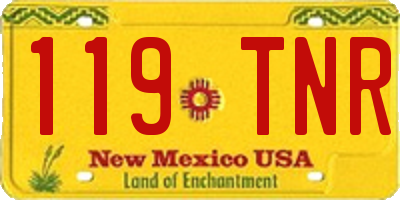 NM license plate 119TNR