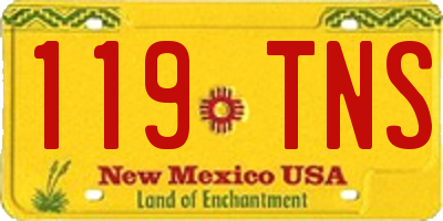 NM license plate 119TNS