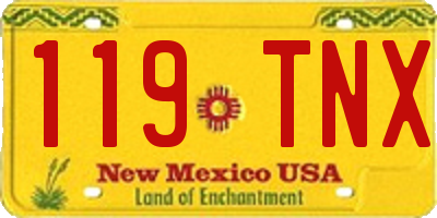 NM license plate 119TNX