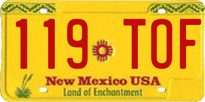 NM license plate 119TOF
