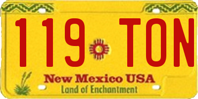 NM license plate 119TON