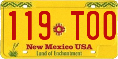 NM license plate 119TOO