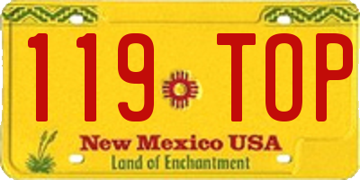 NM license plate 119TOP