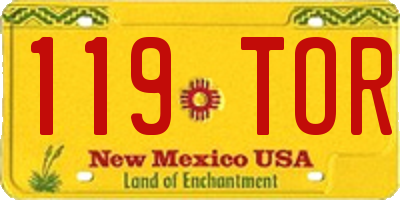 NM license plate 119TOR