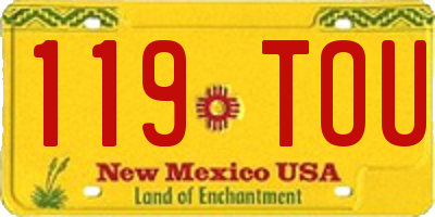 NM license plate 119TOU