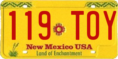 NM license plate 119TOY