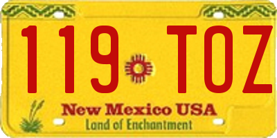 NM license plate 119TOZ