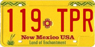 NM license plate 119TPR