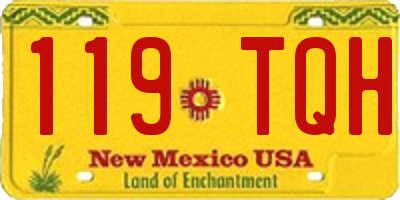 NM license plate 119TQH