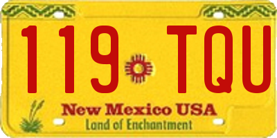 NM license plate 119TQU