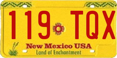 NM license plate 119TQX