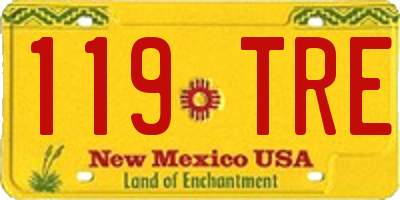 NM license plate 119TRE