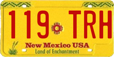 NM license plate 119TRH