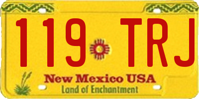 NM license plate 119TRJ