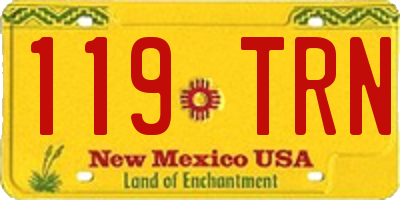 NM license plate 119TRN