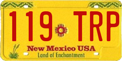 NM license plate 119TRP