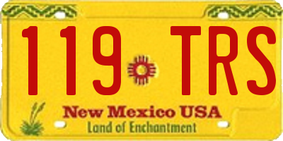 NM license plate 119TRS