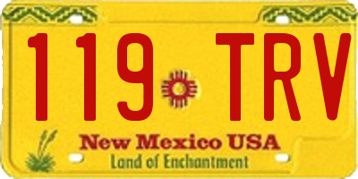 NM license plate 119TRV