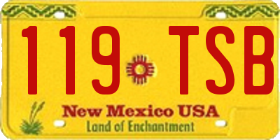 NM license plate 119TSB