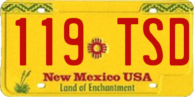 NM license plate 119TSD