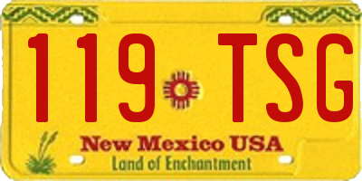 NM license plate 119TSG