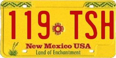 NM license plate 119TSH