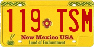 NM license plate 119TSM