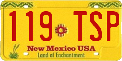 NM license plate 119TSP