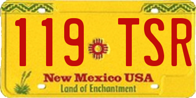 NM license plate 119TSR