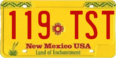 NM license plate 119TST