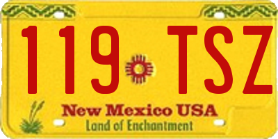 NM license plate 119TSZ