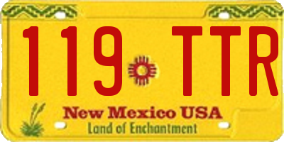 NM license plate 119TTR