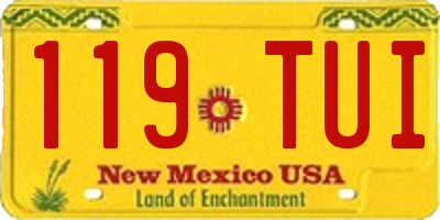 NM license plate 119TUI